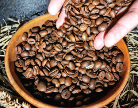 UD Hati Family Kopi